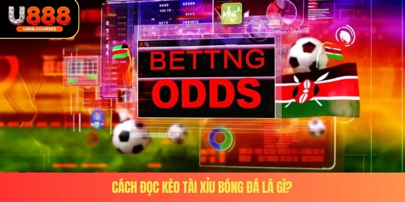 Cách Đọc Kèo Tài Xỉu Bóng Đá - Chuẩn Xác Tại Nhà Cái U888 2 Cách đọc kèo tài xỉu bóng đá là gi?