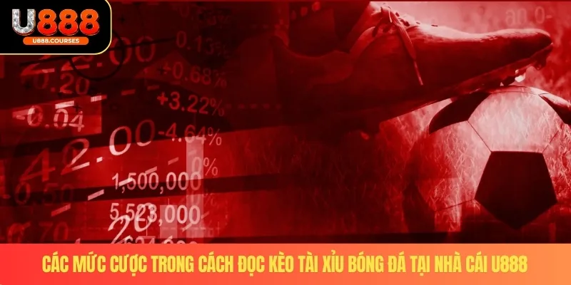 Cách Đọc Kèo Tài Xỉu Bóng Đá - Chuẩn Xác Tại Nhà Cái U888 3 Các mức cược trong cách đọc kèo tài xỉu bóng đá tại nhà cái U888