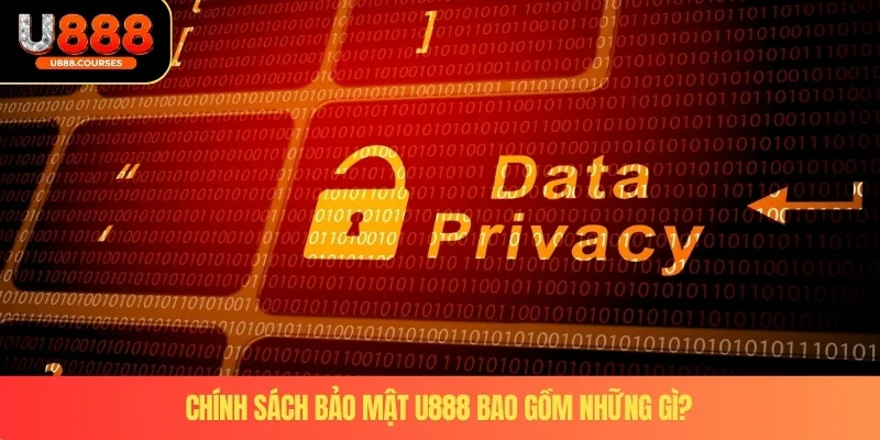 Chính sách bảo mật U888 bao gồm những gì?