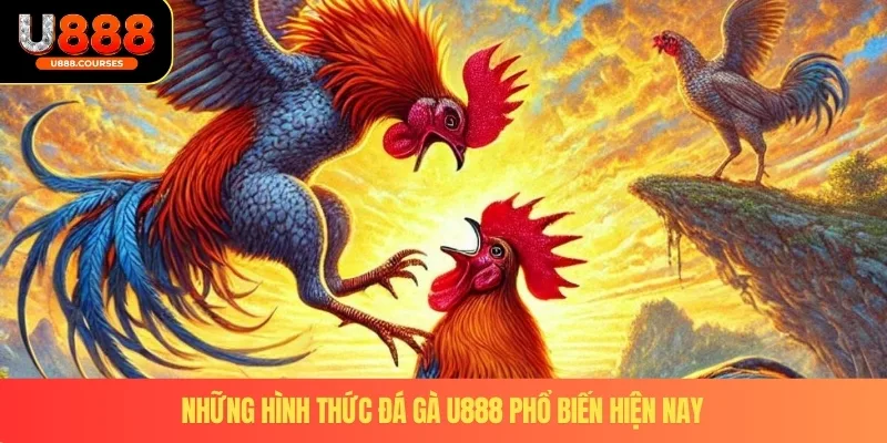 Đá Gà U888 3 Những hình thức đá gà U888 phổ biến hiện nay