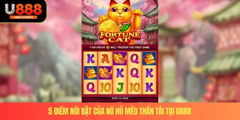 Nổ Hũ Mèo Thần Tài – 5 Điểm Khác Biệt Khi Tham Gia U888 3 5 Điểm nổi bật của nổ hũ mèo thần tài tại U888