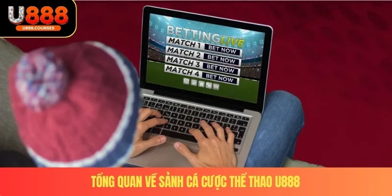 Tổng quan về sảnh cá cược thể thao U888