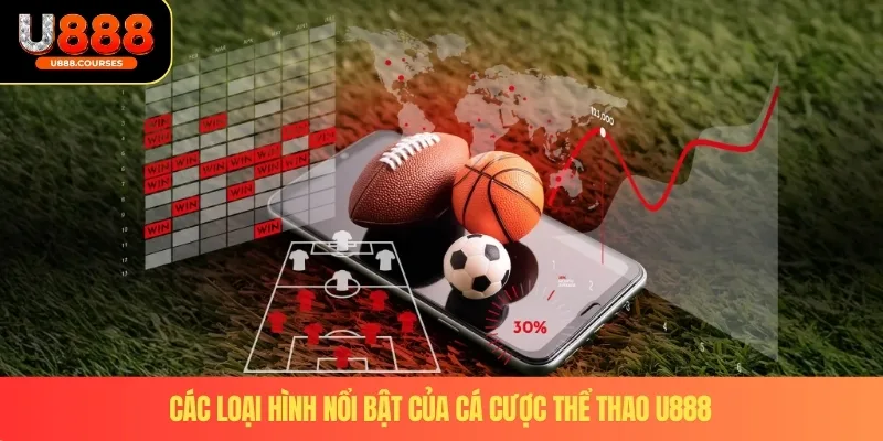 Thể Thao U888 3 Các loại hình nổi bật của cá cược thể thao U888