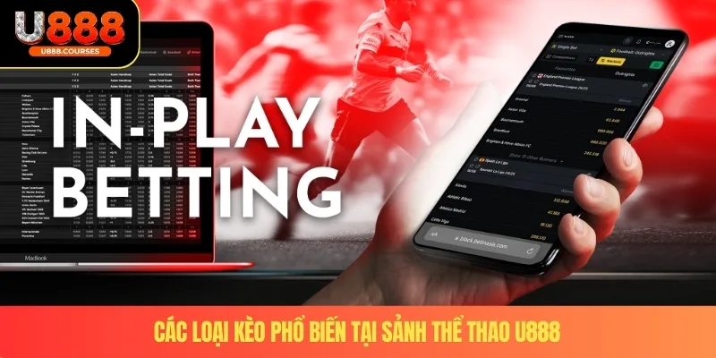 Thể Thao U888 4 Các loại kèo phổ biến tại sảnh thể thao U888