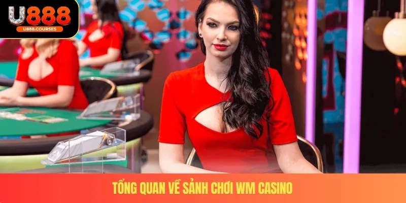 WM Casino – Sảnh Cá Cược An Toàn, Uy Tín Hàng Đầu 2025 2 Tổng quan về sảnh chơi WM Casino