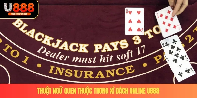 Xì Dách Online – Trò Chơi Trực Tuyến Hấp Dẫn Nhất Tại U888 4 Thuật ngữ quen thuộc trong xì dách online U888